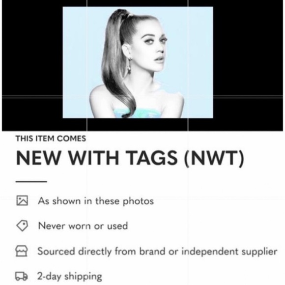 Eileen Fisher VINTAGE Top Jersey Ballet Neck XSmall 2 4 Bark Notched Hem NWT - Picture 13 of 13